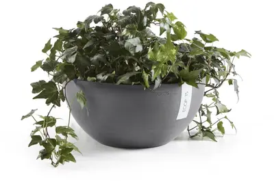 Ecopots kunststof bloempot brussels 30x14.8 cm grijs     - afbeelding 6