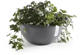Ecopots kunststof bloempot brussels 30x14.8 cm grijs     - afbeelding 6