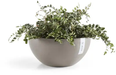 Ecopots kunststof bloempot brussels 30x14 cm taupe     - afbeelding 5