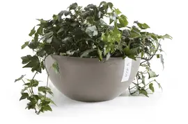 Ecopots kunststof bloempot brussels 30x14 cm taupe     - afbeelding 6