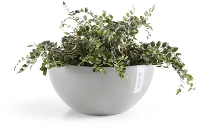 Ecopots kunststof bloempot brussels 30x14 cm witgrijs     - afbeelding 5