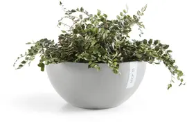 Ecopots kunststof bloempot brussels 30x14 cm witgrijs     - afbeelding 5