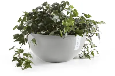 Ecopots kunststof bloempot brussels 30x14 cm witgrijs     - afbeelding 6