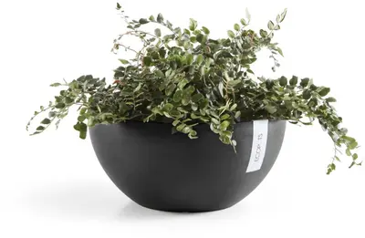 Ecopots kunststof bloempot brussels 35x16.5 cm donkergrijs     - afbeelding 2