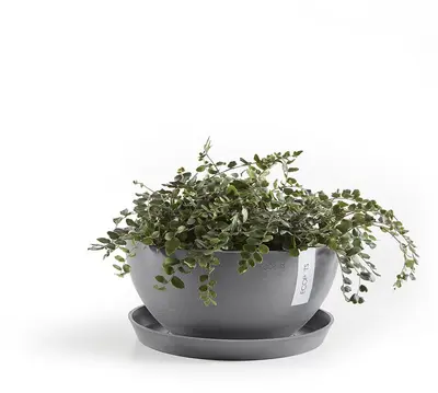 Ecopots kunststof bloempot brussels 35x16.5 cm grijs     - afbeelding 4