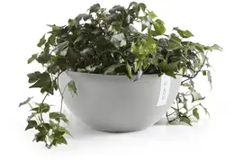 Ecopots kunststof bloempot brussels 35x16.5 cm witgrijs     - afbeelding 2