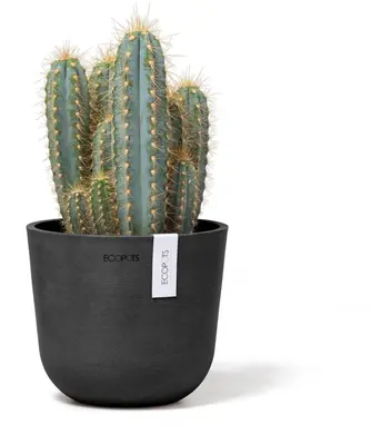 Ecopots kunststof bloempot oslo 16x13.7 cm donkergrijs - afbeelding 4