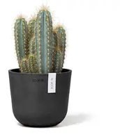 Ecopots kunststof bloempot oslo 16x13.7 cm donkergrijs - afbeelding 4