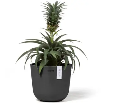 Ecopots kunststof bloempot oslo 16x13.7 cm donkergrijs - afbeelding 2