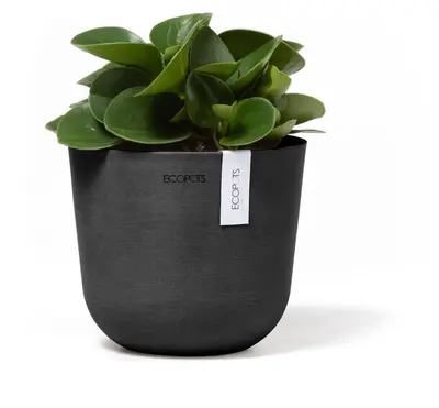 Ecopots kunststof bloempot oslo 16x13.7 cm donkergrijs - afbeelding 5