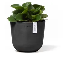 Ecopots kunststof bloempot oslo 16x13.7 cm donkergrijs - afbeelding 5