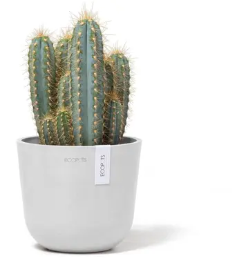 Ecopots kunststof bloempot oslo 16x13.7 cm puurwit - afbeelding 4