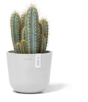 Ecopots kunststof bloempot oslo 16x13.7 cm puurwit - afbeelding 4