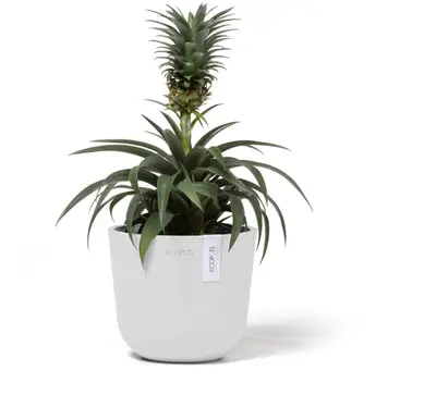 Ecopots kunststof bloempot oslo 16x13.7 cm puurwit - afbeelding 2