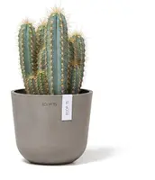 Ecopots kunststof bloempot oslo 16x13.7 cm taupe, taupe     - afbeelding 5