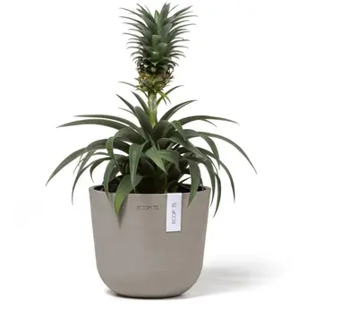 Ecopots kunststof bloempot oslo 16x13.7 cm taupe, taupe     - afbeelding 2
