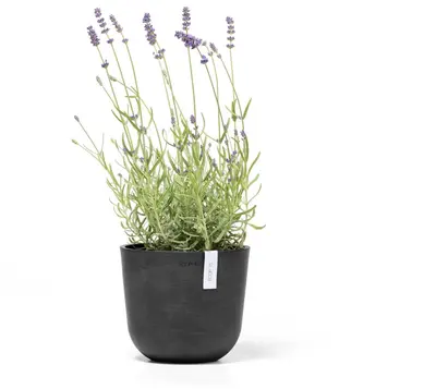 Ecopots kunststof bloempot oslo 19x16.5 cm donkergrijs - afbeelding 2