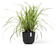 Ecopots kunststof bloempot oslo 19x16.5 cm donkergrijs - afbeelding 4