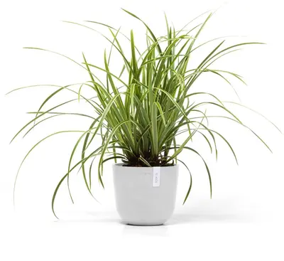 Ecopots kunststof bloempot oslo 19x16.5 cm puurwit - afbeelding 5