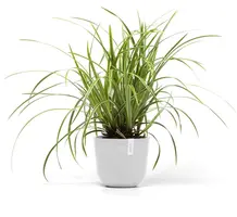 Ecopots kunststof bloempot oslo 19x16.5 cm puurwit - afbeelding 5