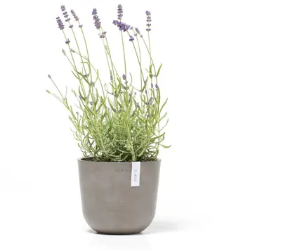 Ecopots kunststof bloempot oslo 19x16.5 cm taupe - afbeelding 2