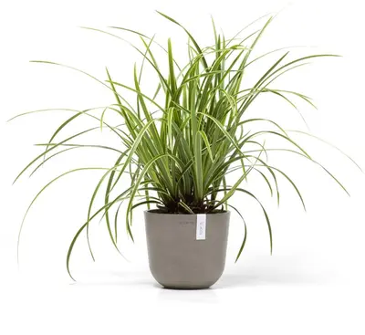 Ecopots kunststof bloempot oslo 19x16.5 cm taupe - afbeelding 5