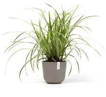 Ecopots kunststof bloempot oslo 19x16.5 cm taupe - afbeelding 5