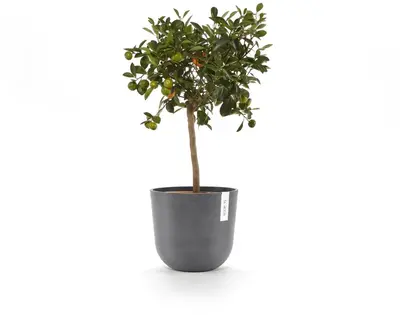 Ecopots kunststof bloempot oslo 25x21.8 cm grijs - afbeelding 6