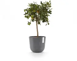 Ecopots kunststof bloempot oslo 25x21.8 cm grijs - afbeelding 6