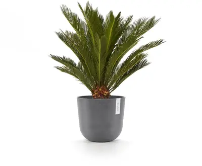 Ecopots kunststof bloempot oslo 25x21.8 cm grijs - afbeelding 5