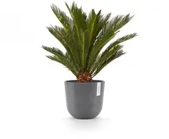Ecopots kunststof bloempot oslo 25x21.8 cm grijs - afbeelding 5