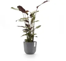 Ecopots kunststof bloempot oslo 25x21.8 cm grijs - afbeelding 4