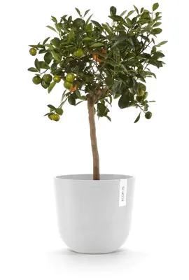 Ecopots kunststof bloempot oslo 25x21.8 cm puurwit - afbeelding 8