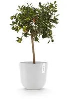 Ecopots kunststof bloempot oslo 25x21.8 cm puurwit - afbeelding 8