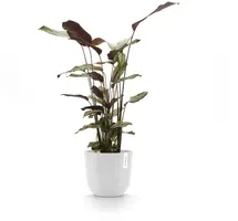Ecopots kunststof bloempot oslo 25x21.8 cm puurwit - afbeelding 7