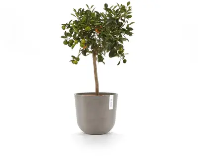 Ecopots kunststof bloempot oslo 25x21.8 cm taupe - afbeelding 10