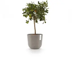Ecopots kunststof bloempot oslo 25x21.8 cm taupe - afbeelding 10