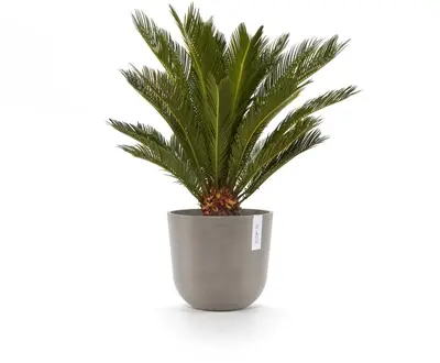 Ecopots kunststof bloempot oslo 25x21.8 cm taupe - afbeelding 9