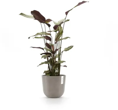 Ecopots kunststof bloempot oslo 25x21.8 cm taupe - afbeelding 8