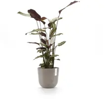 Ecopots kunststof bloempot oslo 25x21.8 cm taupe - afbeelding 8