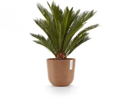 Ecopots kunststof bloempot oslo 25x21.8 cm terracotta - afbeelding 5