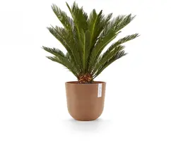 Ecopots kunststof bloempot oslo 25x21.8 cm terracotta - afbeelding 5
