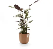 Ecopots kunststof bloempot oslo 25x21.8 cm terracotta - afbeelding 4