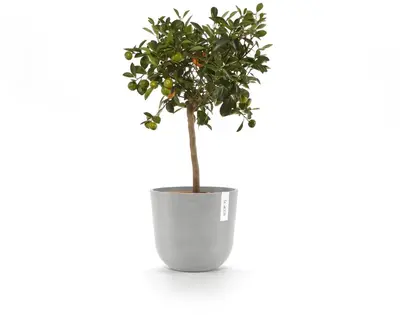 Ecopots kunststof bloempot oslo 25x21.8 cm witgrijs - afbeelding 6