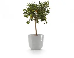 Ecopots kunststof bloempot oslo 25x21.8 cm witgrijs - afbeelding 6