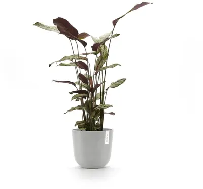 Ecopots kunststof bloempot oslo 25x21.8 cm witgrijs - afbeelding 4