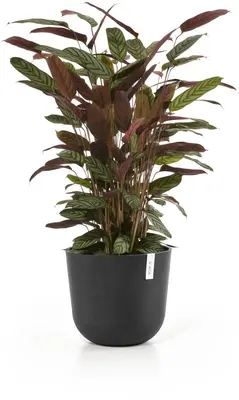 Ecopots kunststof bloempot oslo 35x30.5 cm donkergrijs - afbeelding 2