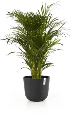 Ecopots kunststof bloempot oslo 35x30.5 cm donkergrijs - afbeelding 6