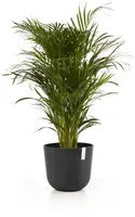 Ecopots kunststof bloempot oslo 35x30.5 cm donkergrijs - afbeelding 6