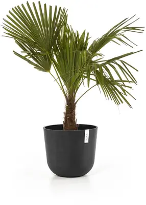 Ecopots kunststof bloempot oslo 35x30.5 cm donkergrijs - afbeelding 7